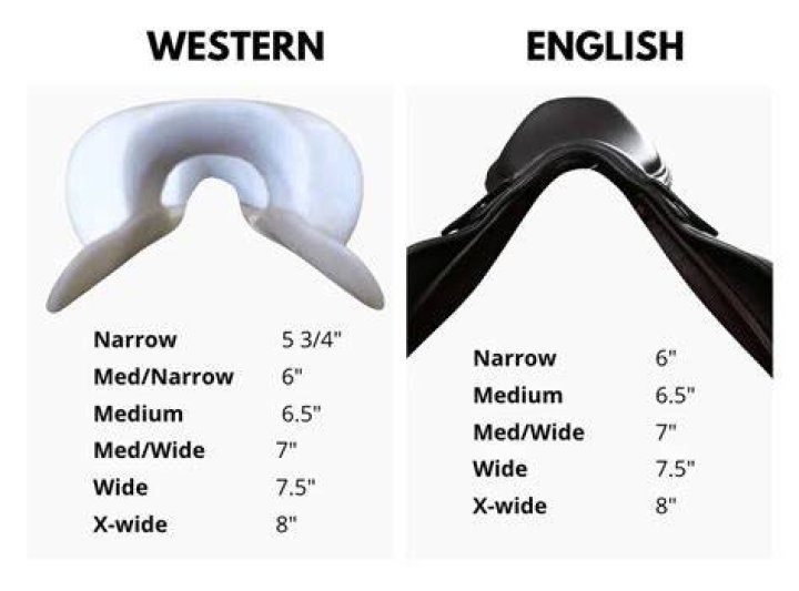 How wide is a wide tree in an English saddle?