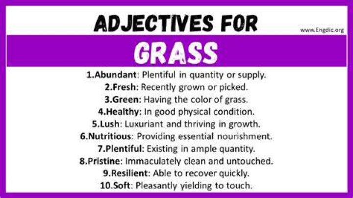How would you describe the color of grass?