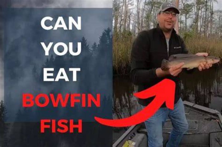 Is a Bowfin fish good to eat?