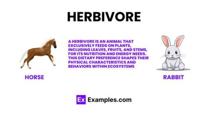 Is a herbivore?