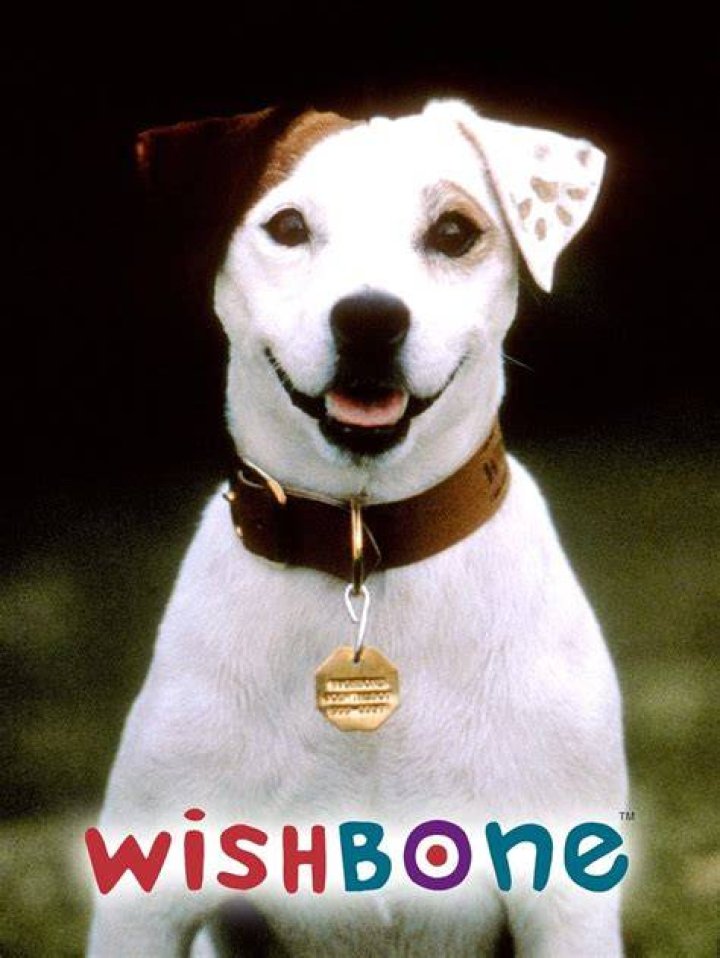 Is a wishbone lucky?