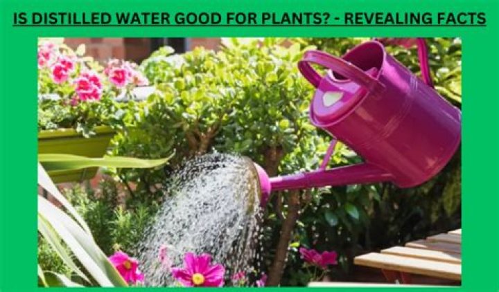 Is acidic water good for plants?