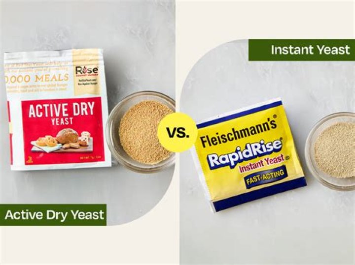 Is active dry yeast the same as fast acting?
