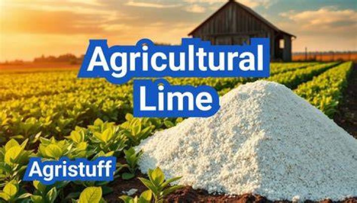 Is agricultural lime harmful to humans?