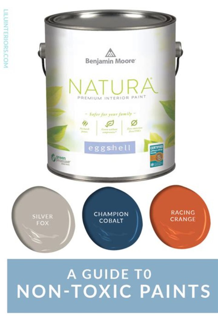 Is Americana paint non toxic?