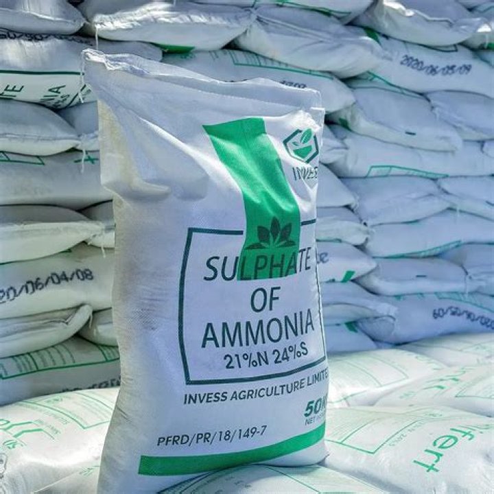 Is ammonia sulfate good for plants?