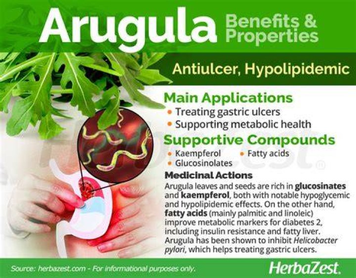 Is arugula good for your stomach?