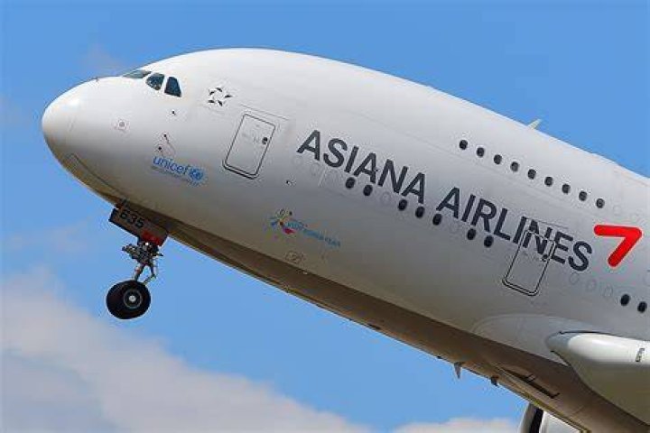 Is Asiana better than Korean Air?