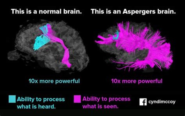 Is Aspergers hereditary or genetic?