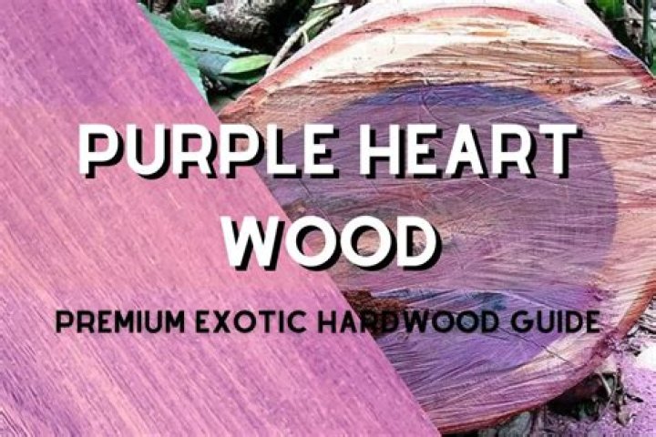 Is bloodwood a hardwood? | ContextResponse.com