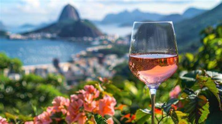 Is Brazilian wine good? | ContextResponse.com