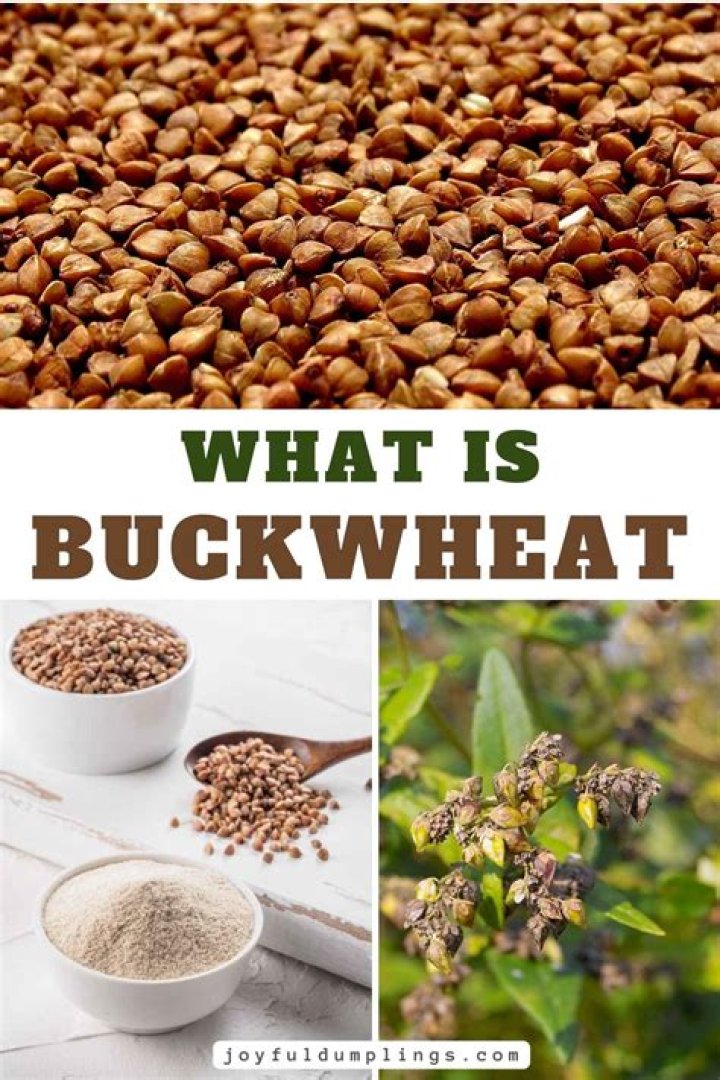 Is buckwheat high in lysine?