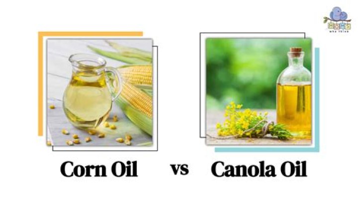 Is canola oil corn based?