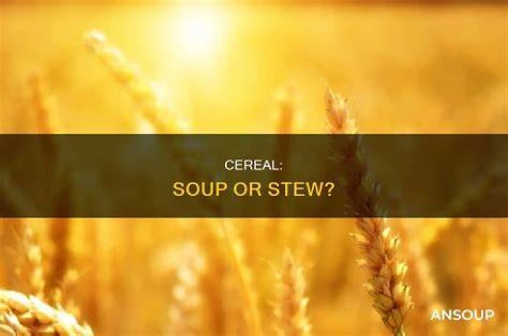 Is cereal a soup or stew?