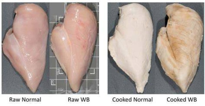 Is chewy chicken over or undercooked?