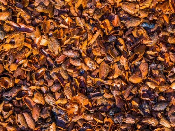 Is cocoa bean shells A good mulch?