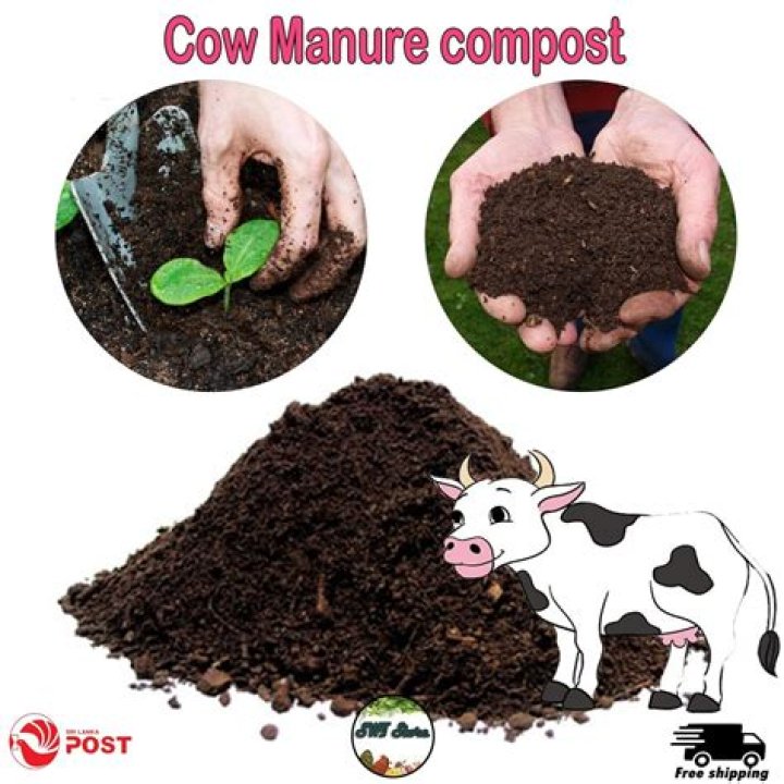 Is cow manure considered organic?