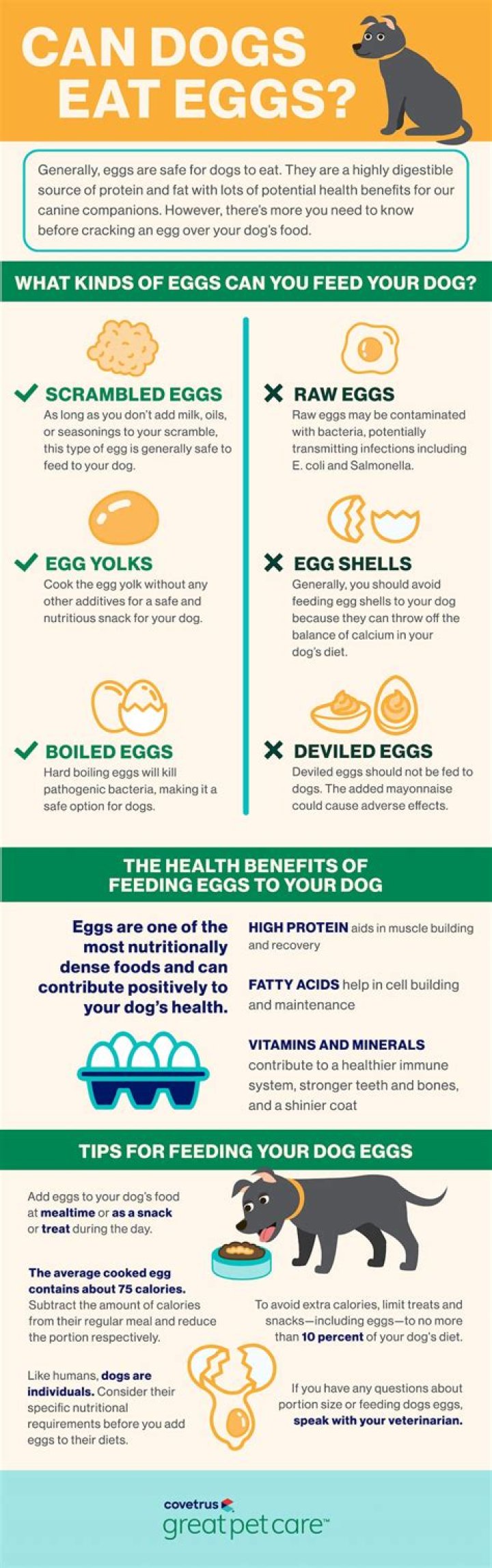 Is egg yolk safe for dogs?