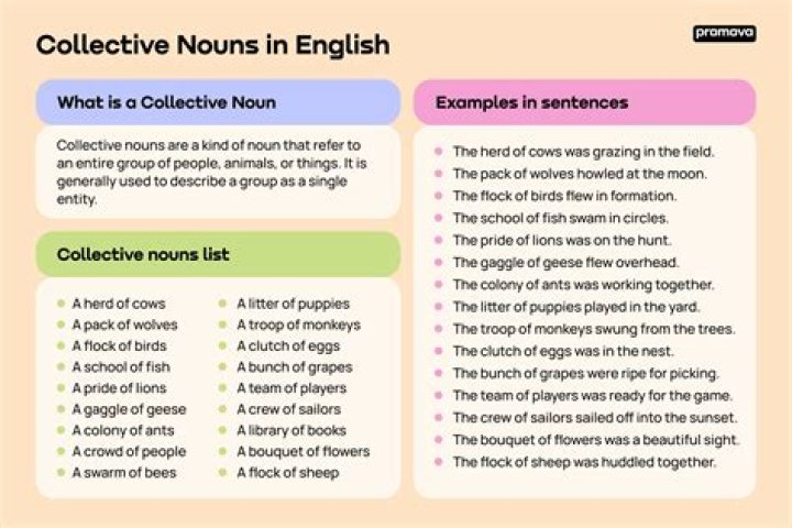 Is everybody a collective noun?