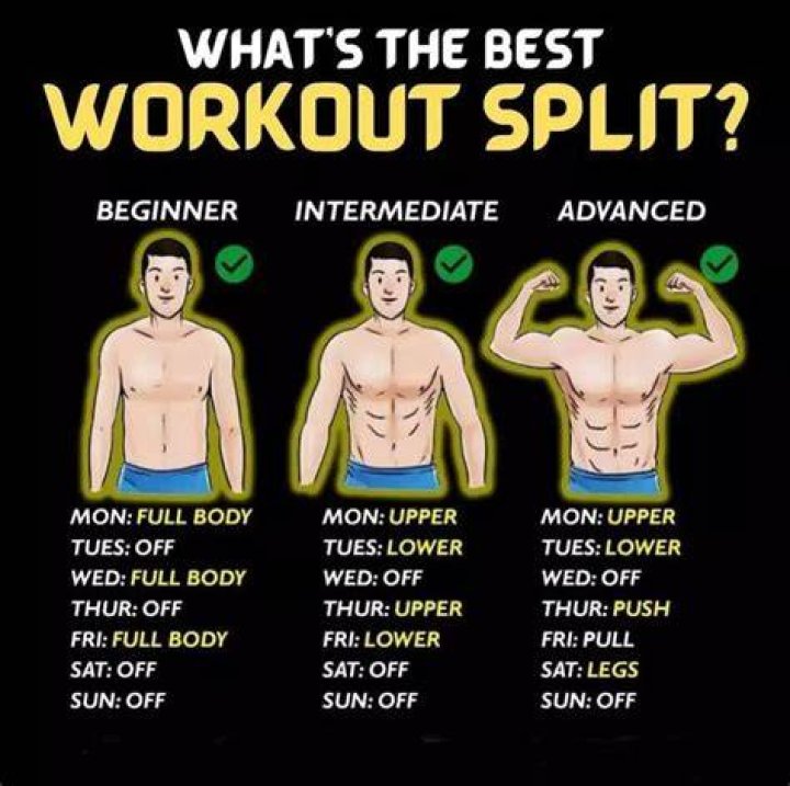 Is full body better than split?