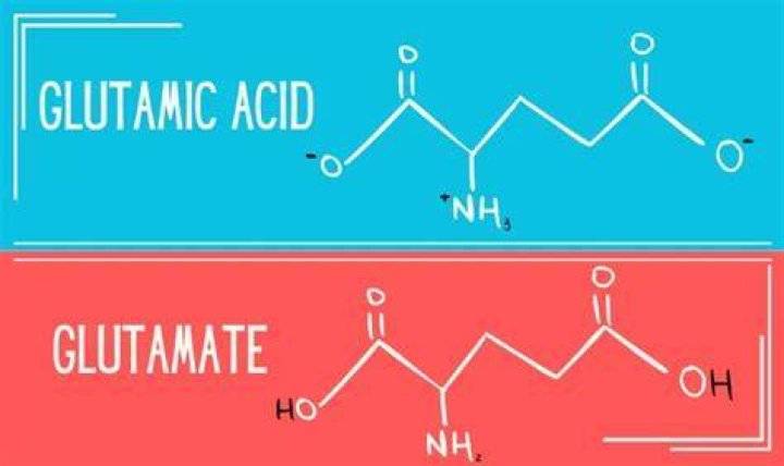 Is glutamic acid positive or negative?