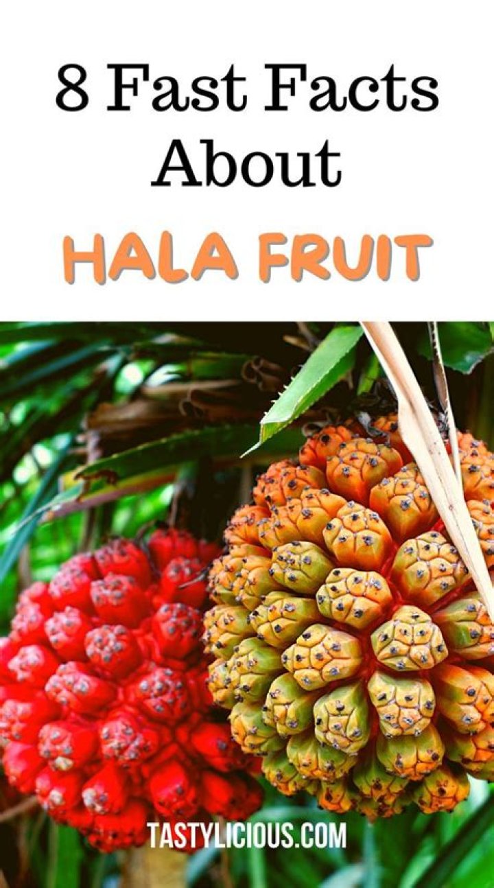 Is Hala fruit edible?