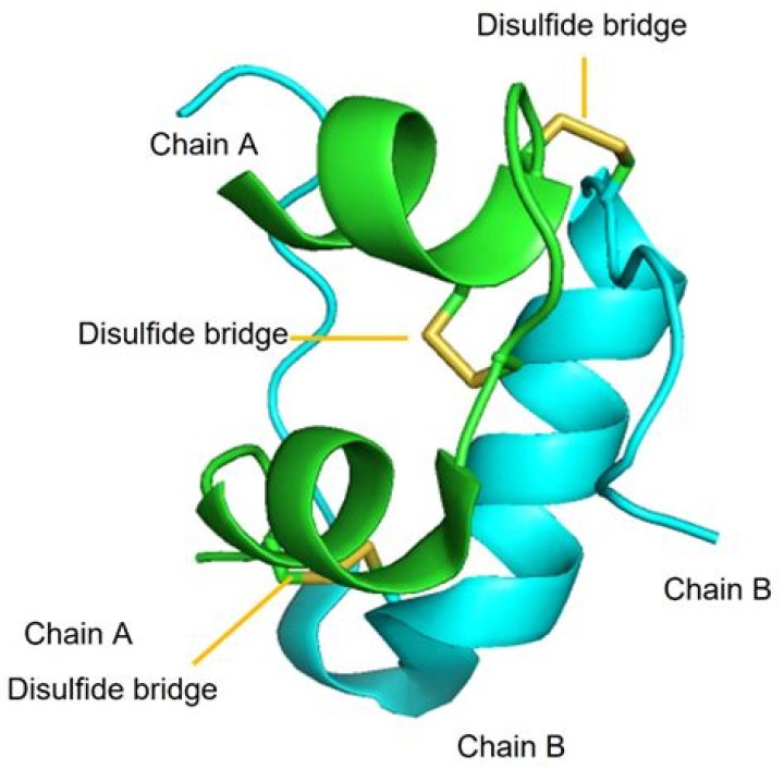 Is insulin a compound? | ContextResponse.com