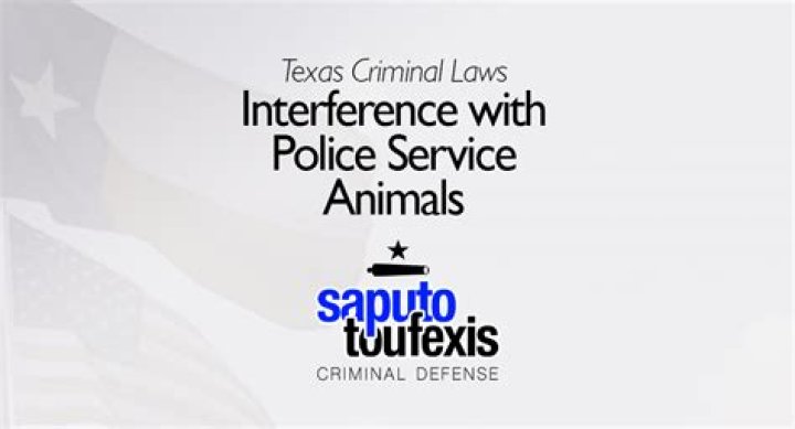 Is interfering with a service dog a felony?