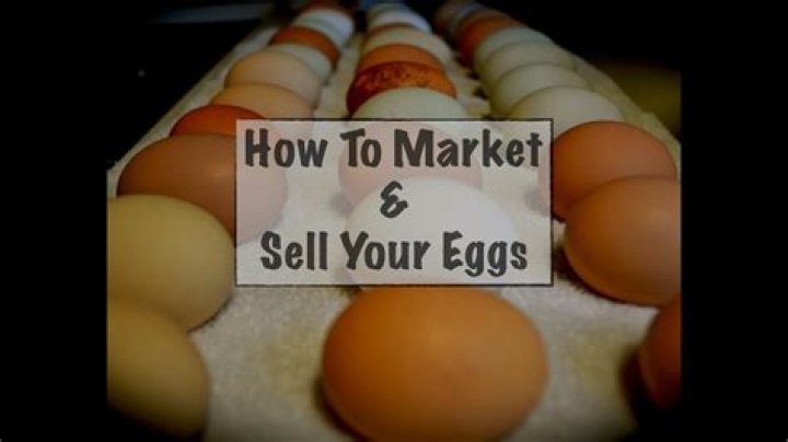 Is it dangerous to sell your eggs?