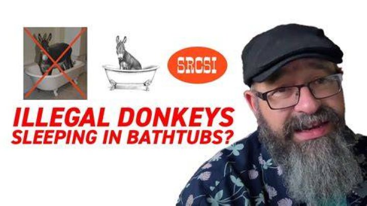 Is it illegal for a donkey to sleep in a bathtub?