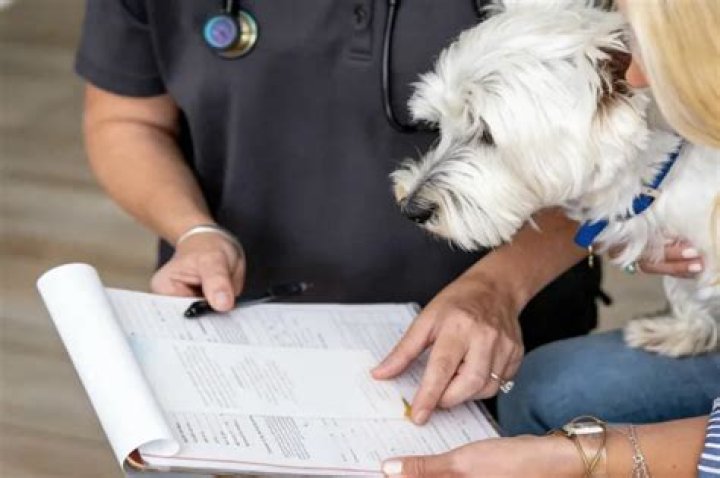 Is it legal to euthanize a healthy dog?