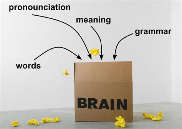 Is language innate in all humans?