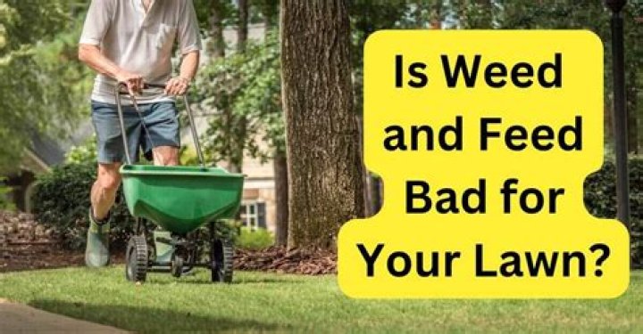 Is lawn feed harmful to dogs?