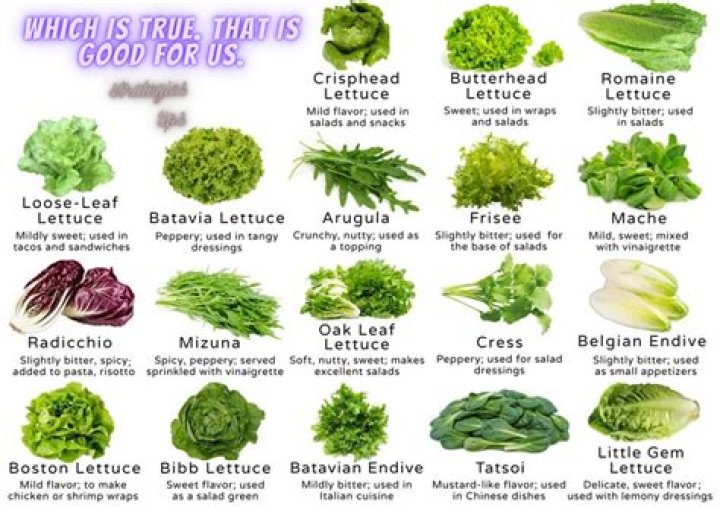 Is lettuce good for constipation?