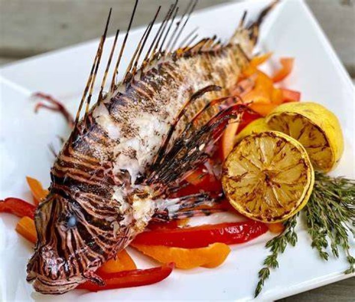 Is lion fish good eating?