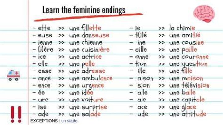 Is lit feminine or masculine French?