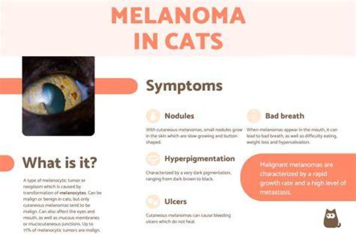 Is melanoma in cats painful?