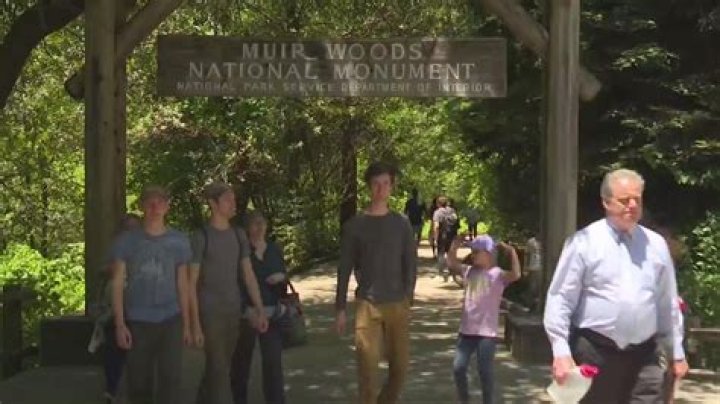 Is Muir Woods open now?