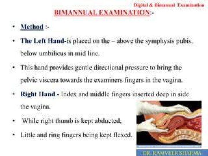 Is normal uterus palpable?