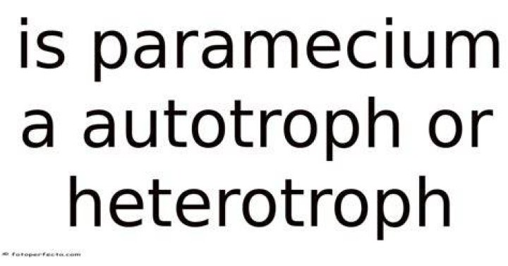 Is paramecium an Autotroph or Heterotroph?
