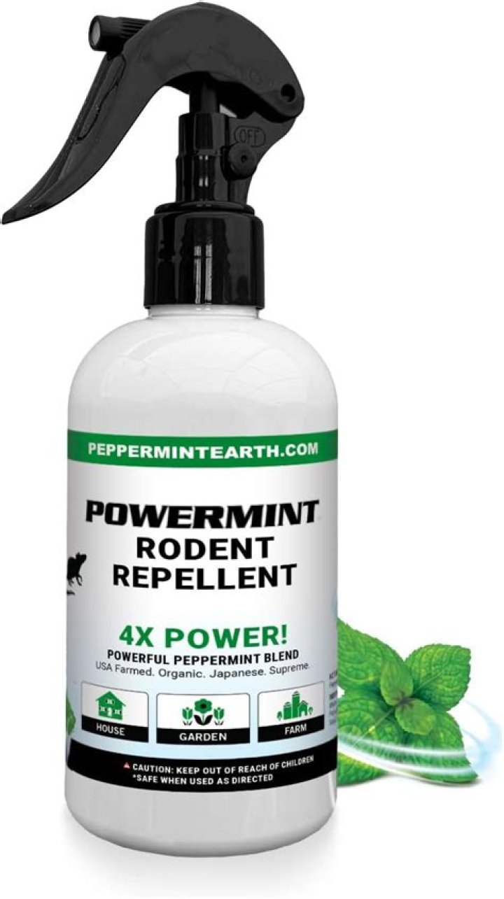 Is Peppermint a disinfectant? | ContextResponse.com