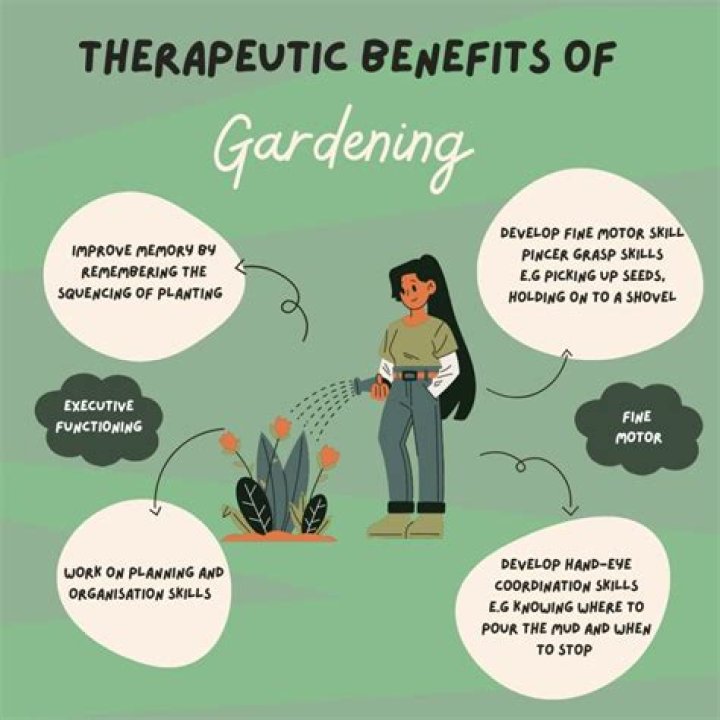 Is plant therapy therapeutic grade?