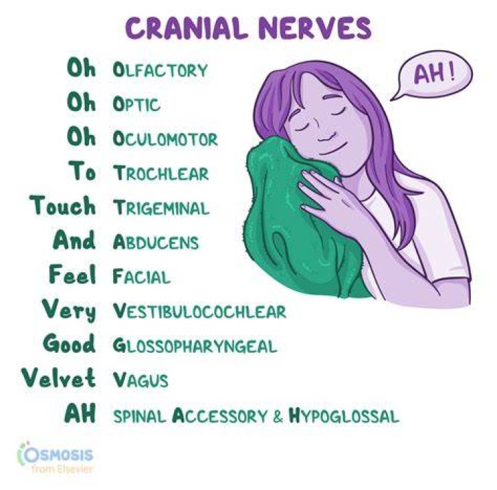 Is pneumonic a word? | ContextResponse.com