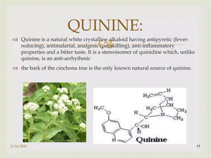 Is quinine an anti inflammatory?