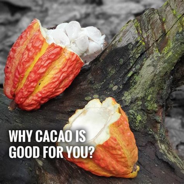 Is raw cacao good for you?