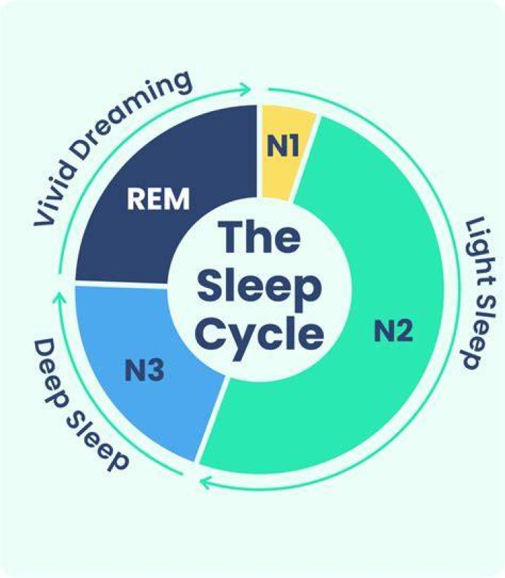 Is REM deep or light sleep?