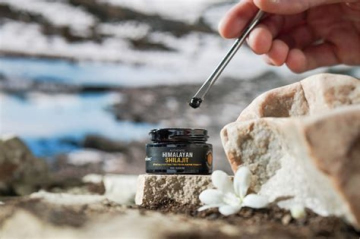 Is Shilajit an adaptogen?