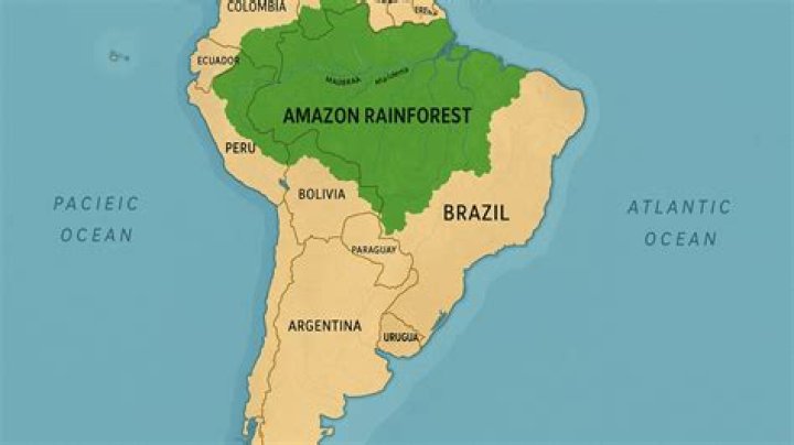 Is the Amazon the largest forest?