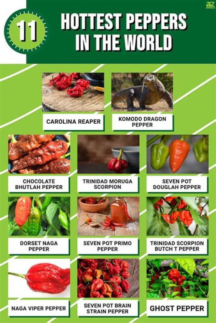 Is the ghost chili the hottest pepper in the world?