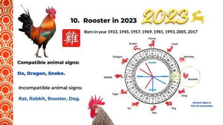 Is the rooster lucky in 2019?